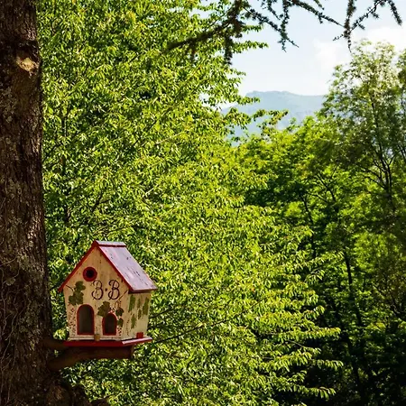 La Demeure Aux Pins 3*