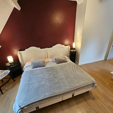 Oda ve Kahvaltı La Demeure Aux Pins Lourdes