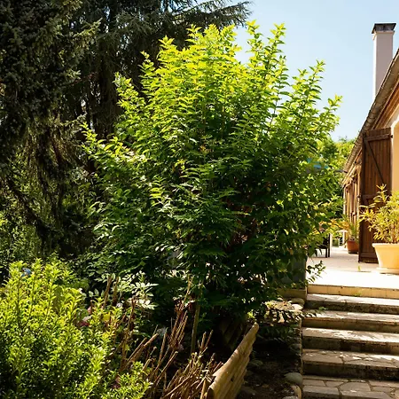 Oda ve Kahvaltı La Demeure Aux Pins