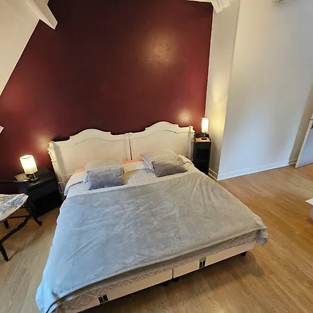 La Demeure Aux Pins 3* Lourdes