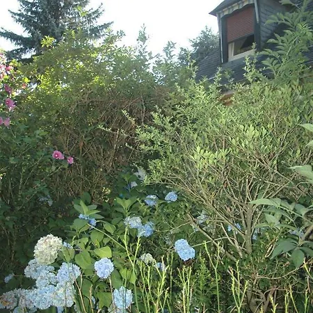 Bed & Breakfast La Demeure Aux Pins 2*