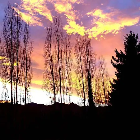 La Demeure Aux Pins Bed and breakfast Lourdes