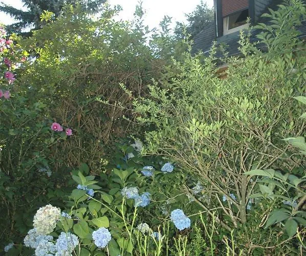 Oda ve Kahvaltı La Demeure Aux Pins 3*