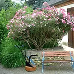 La Demeure Aux Pins
